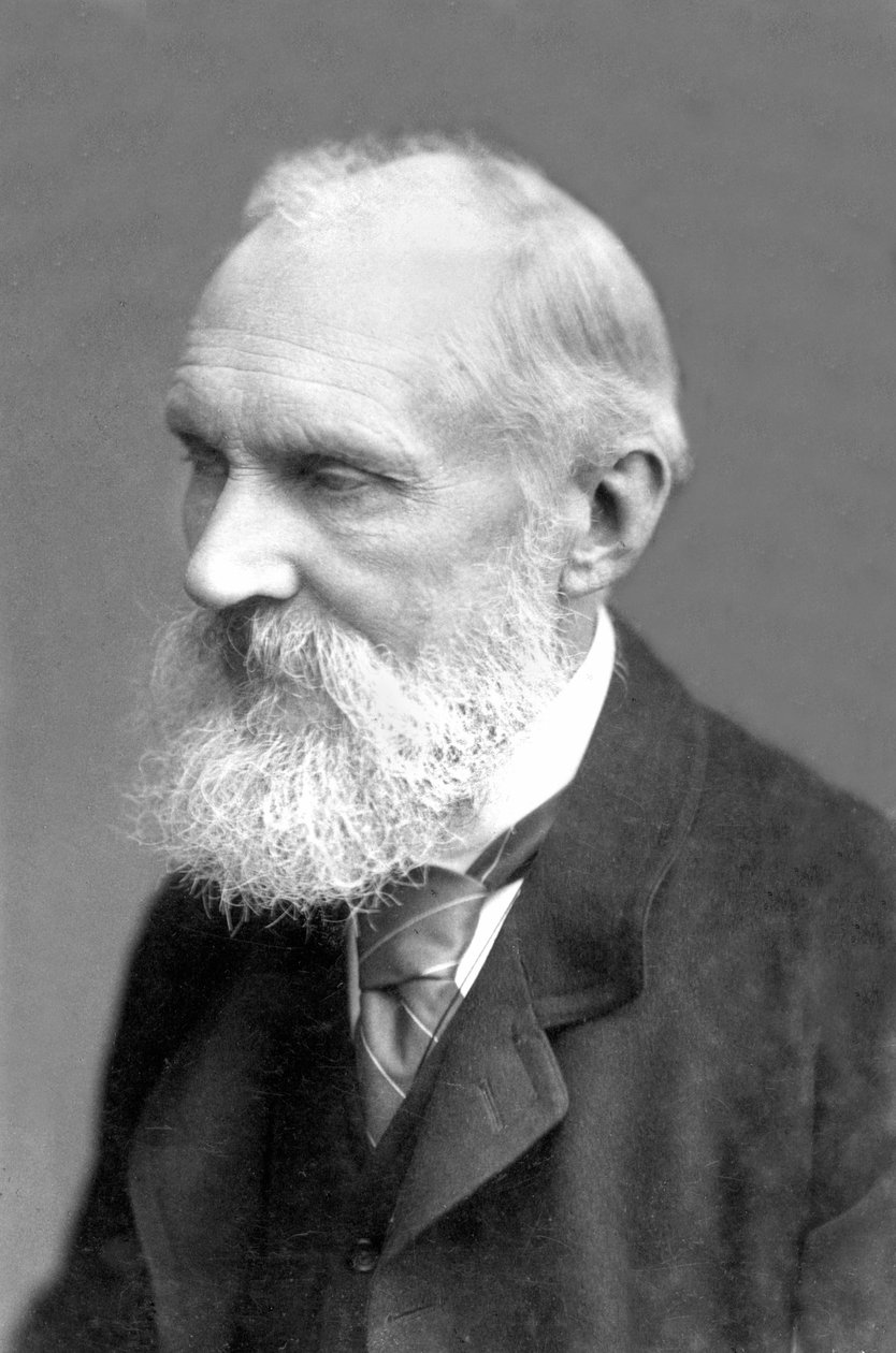 Reino Unido : William Thomson Kelvin de Frederick (attr. to) Barnard