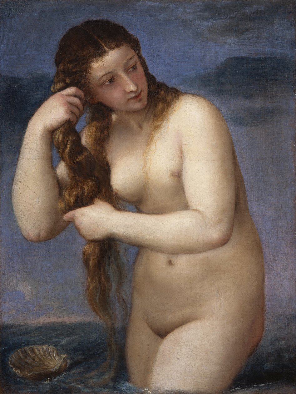 Venus Anadyomene de Tiziano Vecelli