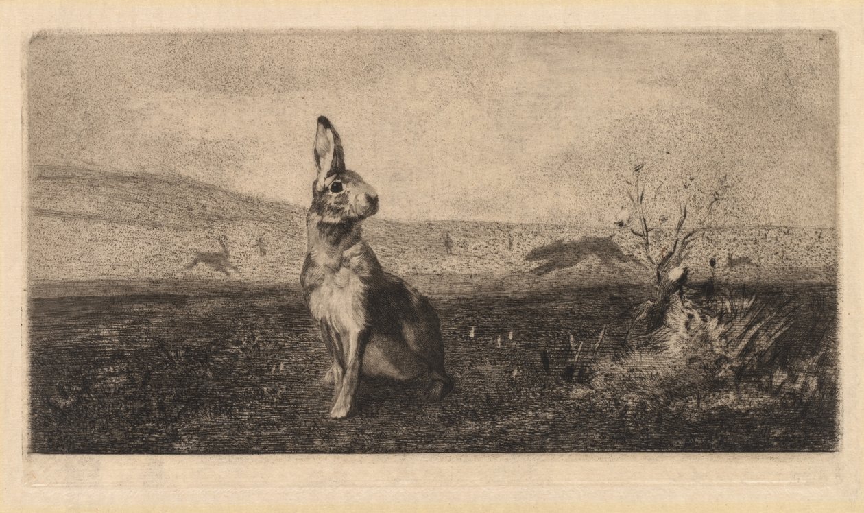 A lebre de after Albert de Balleroy