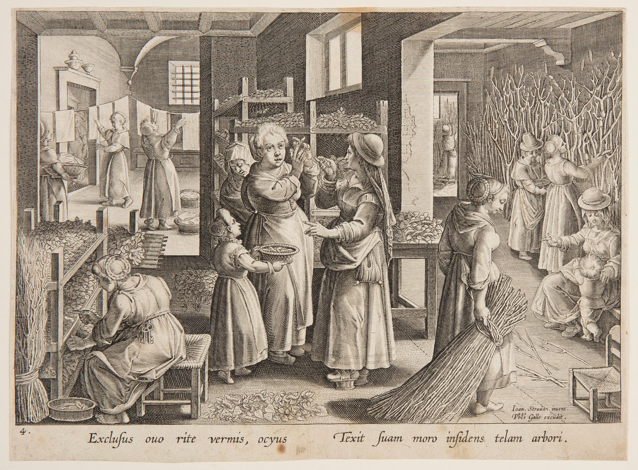 Alimentando folhas de amoreira para os bichos-da-seda de after Jan van der Straet, called Stradanus