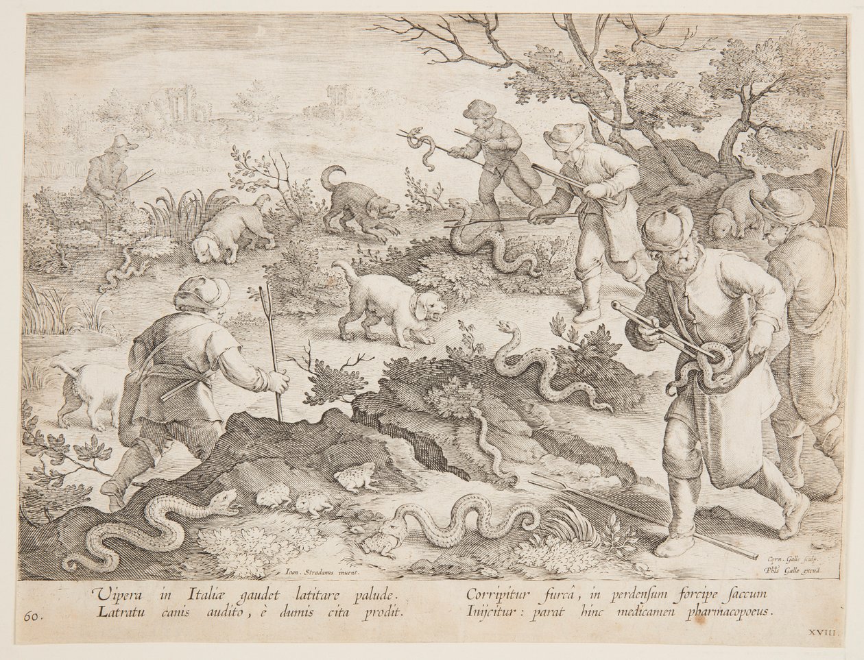 Cobras de caça de after Jan van der Straet, called Stradanus