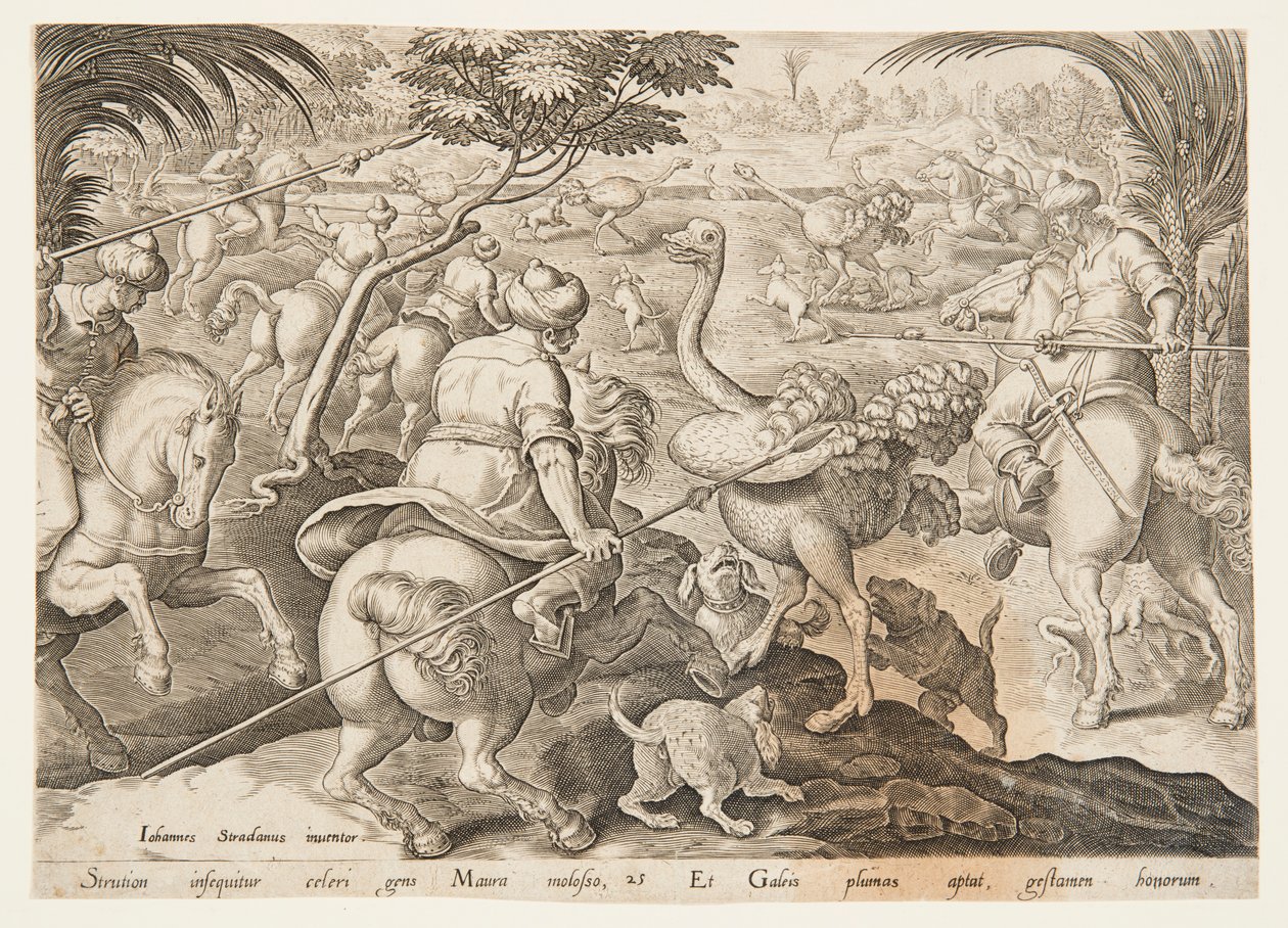 A caça ao avestruz de after Jan van der Straet, called Stradanus