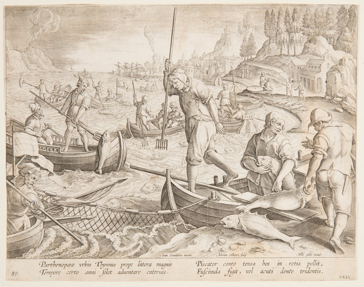 Pesca de atum de after Jan van der Straet, called Stradanus