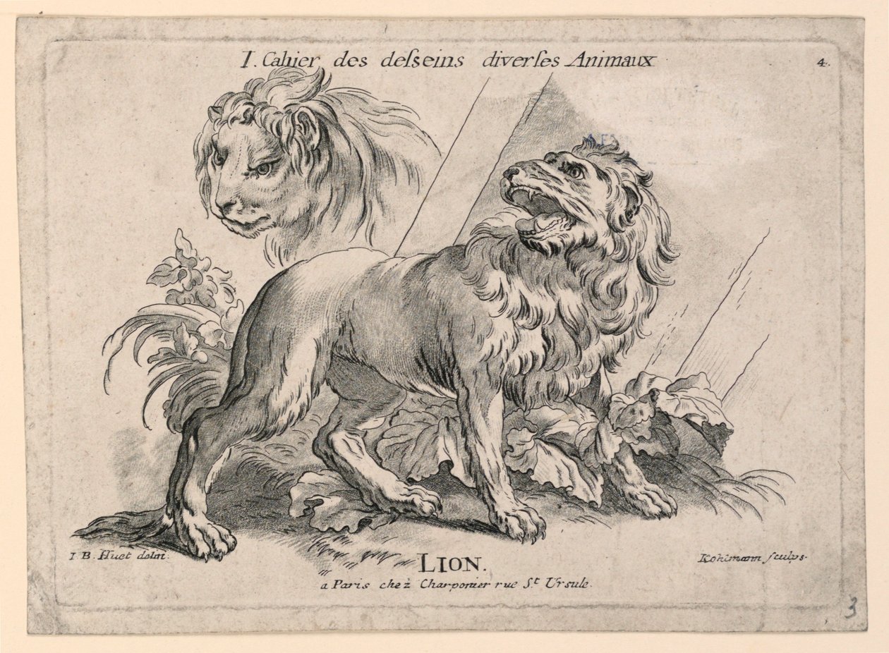 Estudos de Leões, Placa 4 de "Cahier des Desseins Diverses Animalaux" de after Jean Baptiste Huet