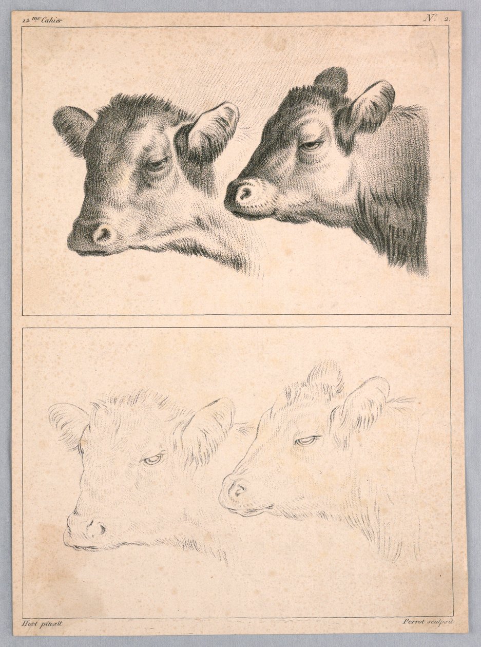 Duas cabeças de vaca, placa no. 2 do 12me Cahier d