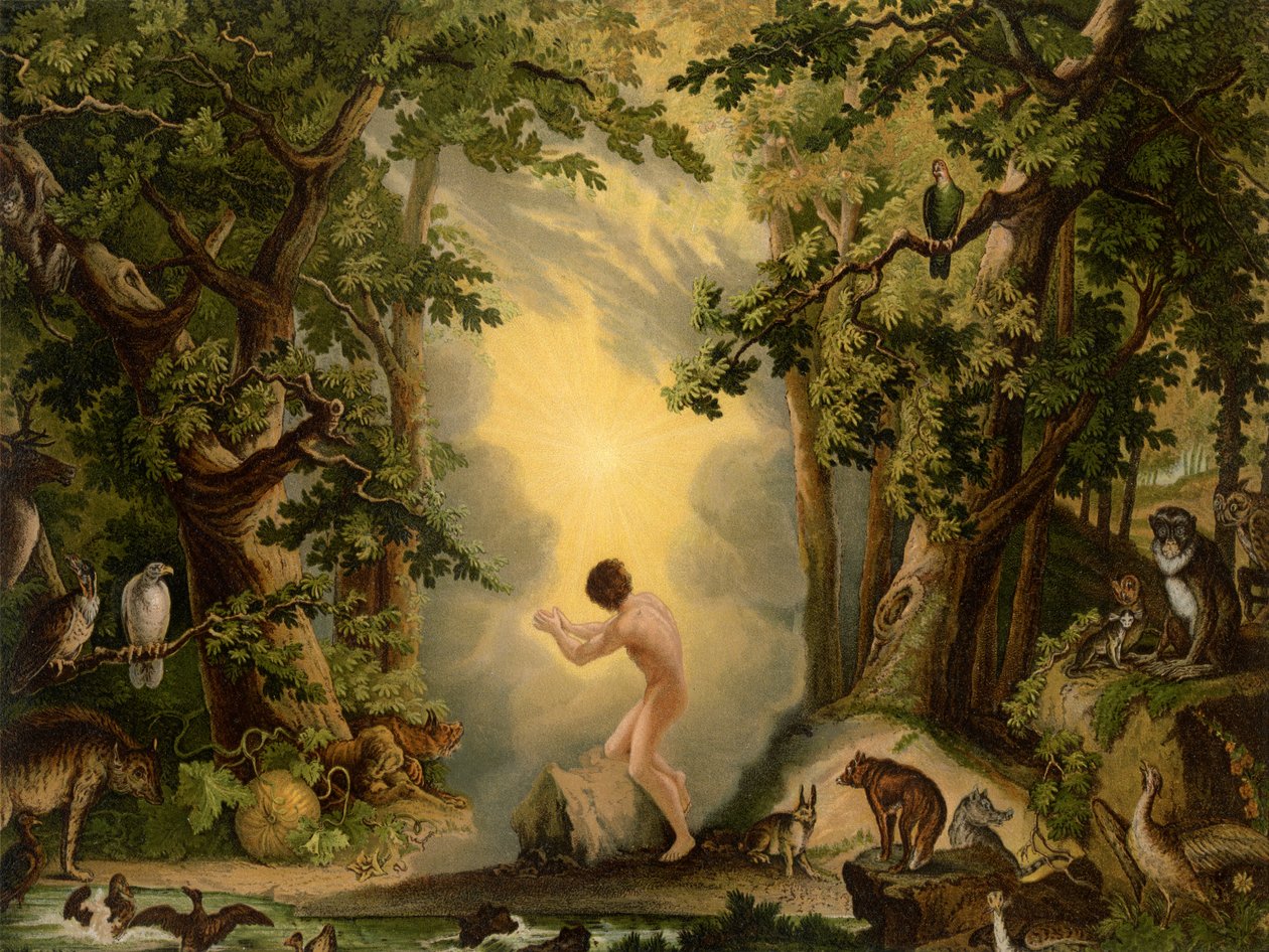 A criação de Adão de Johann Elias Ridinger or Riedinger