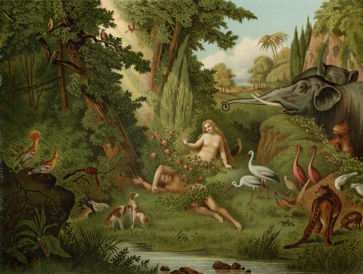 A criação de Eva de Johann Elias Ridinger or Riedinger