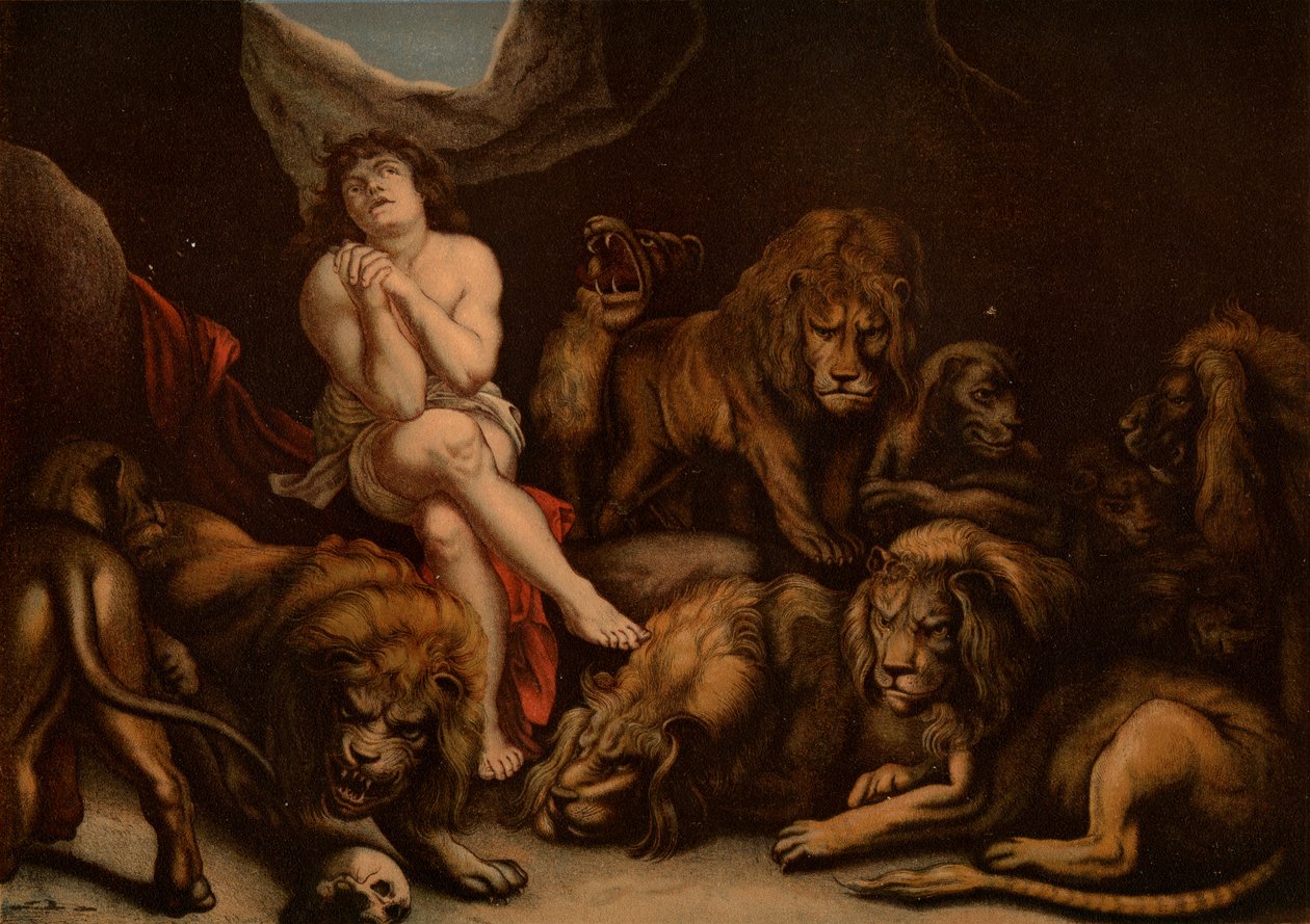 Daniel no leões den de after Peter Paul Rubens