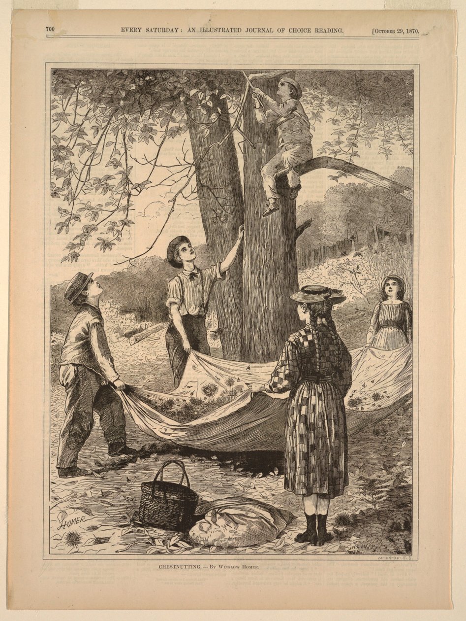 Castanheira de after Winslow Homer