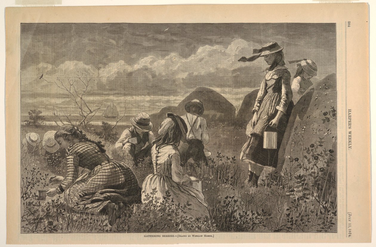 Colhendo Bagas de after Winslow Homer