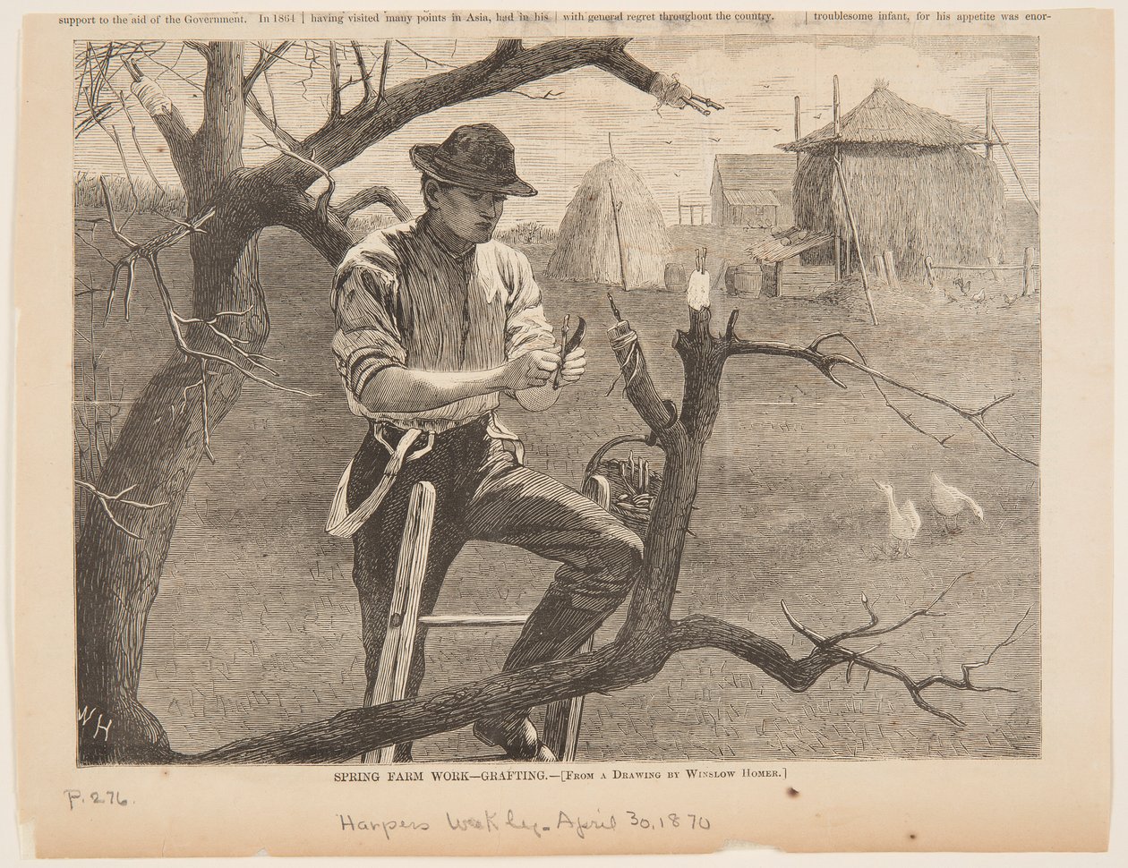 Trabalho na Fazenda da Primavera - Enxertia de after Winslow Homer