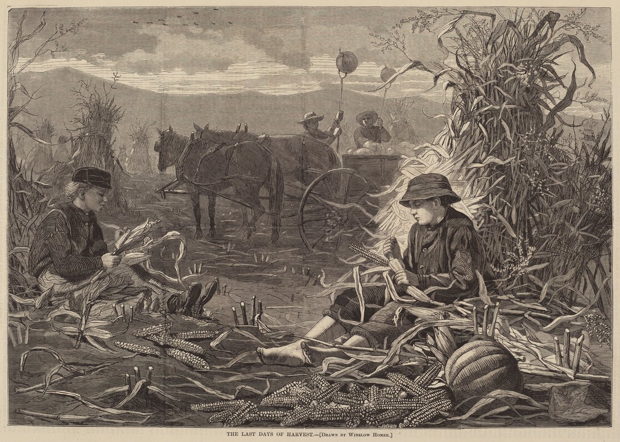 Os Últimos Dias da Colheita de Winslow Homer