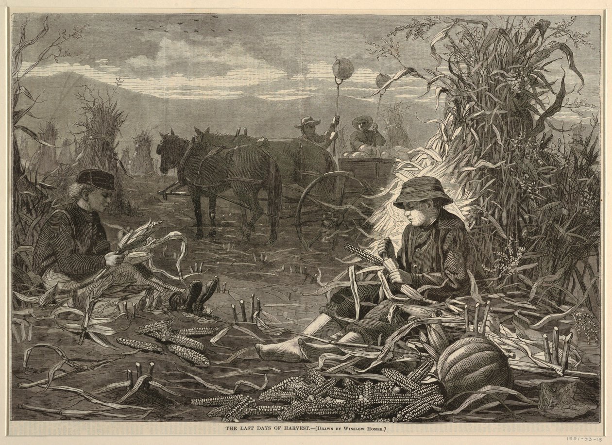 The Last Days of Harvest, da Harper