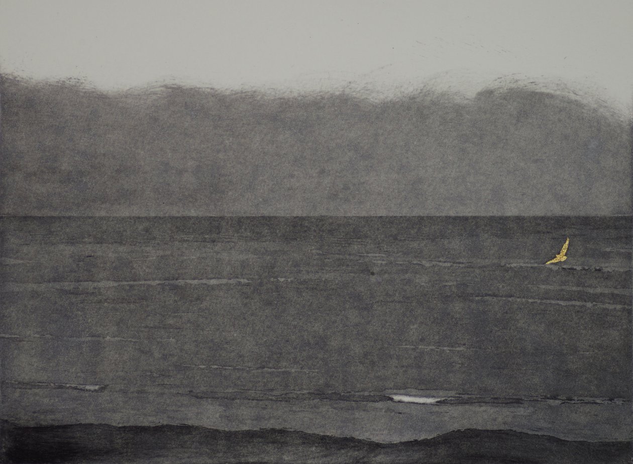 Vôo silencioso, 2017, gravura, aquatint e mão para colorir em papel de angus hampel