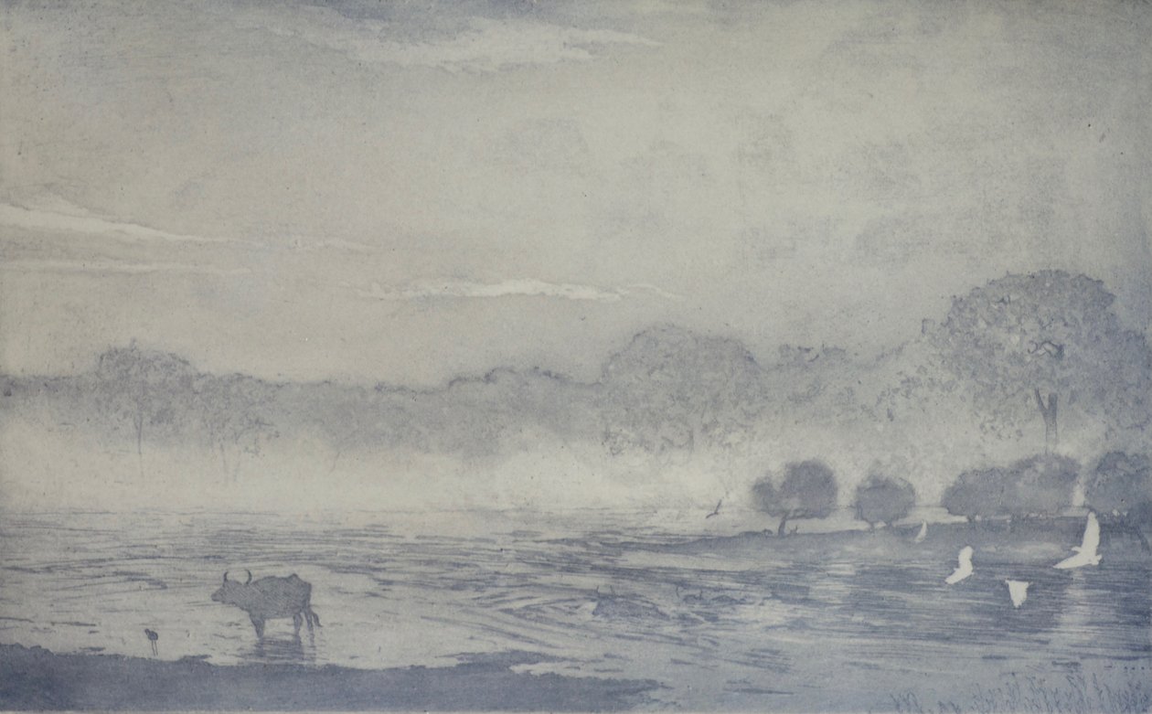 Três, búfalo, 2017, gravura, e, aquatint, papel de angus hampel
