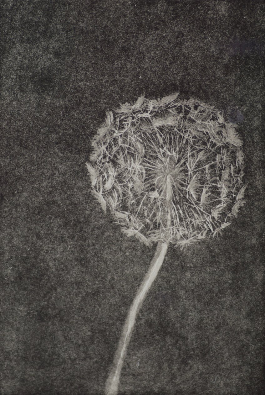 Relojoeiro, 2017, gravura e aquatinta em papel de angus hampel