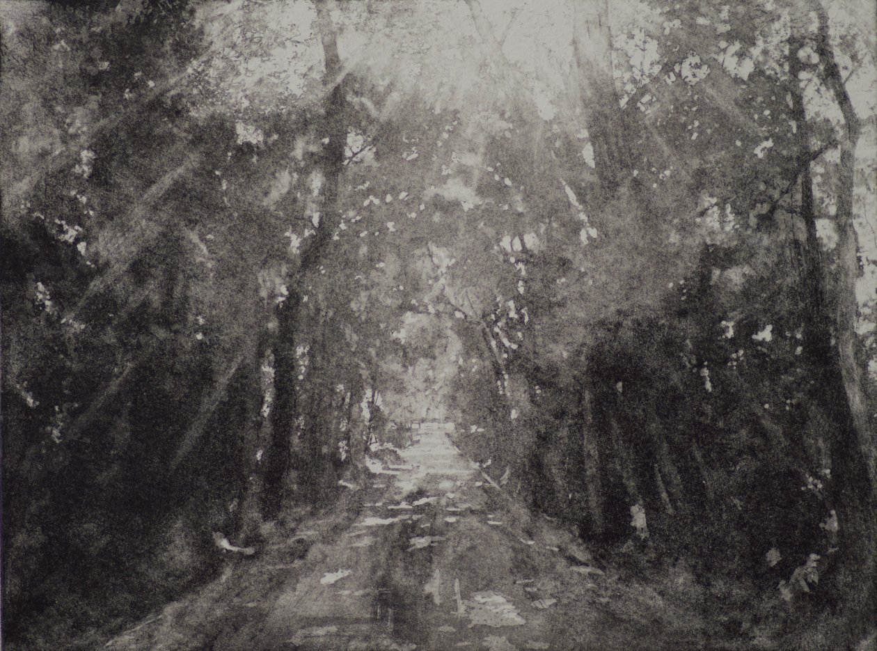 Aleluia II, 2017, gravura e tinta sobre papel de angus hampel