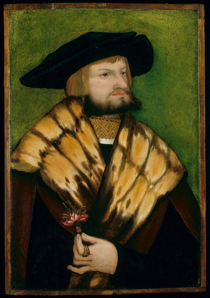 Retrato de Leonhard Fuchs de anonymous 