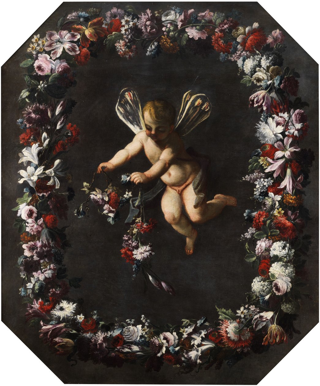 Putto com asas de libélula na grinalda da flor. Óleo sobre tela. 191 x 161 cm de attributed to Giovanni Stanchi Dei Fiori