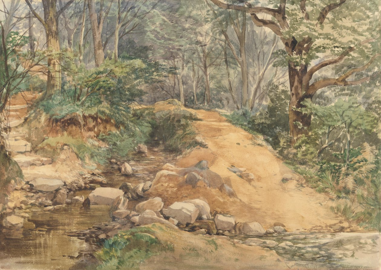 Cena da floresta com um caminho através de um riacho de attributed to John Middleton