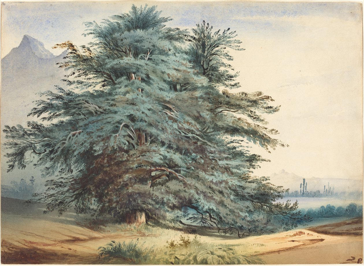 Duas árvores antigas antes de um pico de montanha de attributed to Jules Dupré