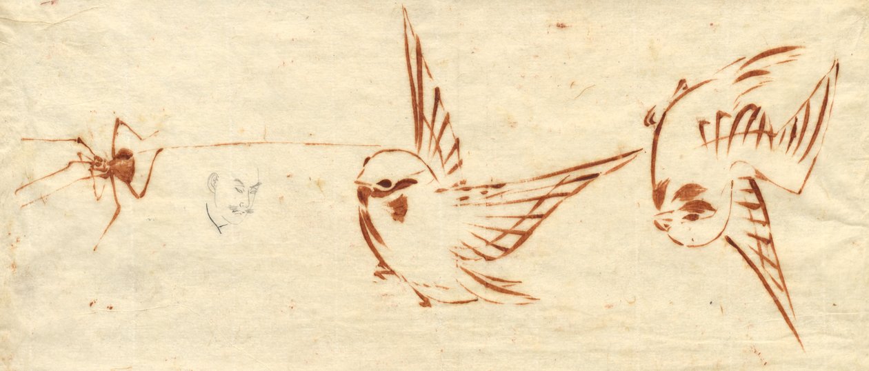 Página de esboço com pássaros e aranha de attributed to Katsushika Hokusai