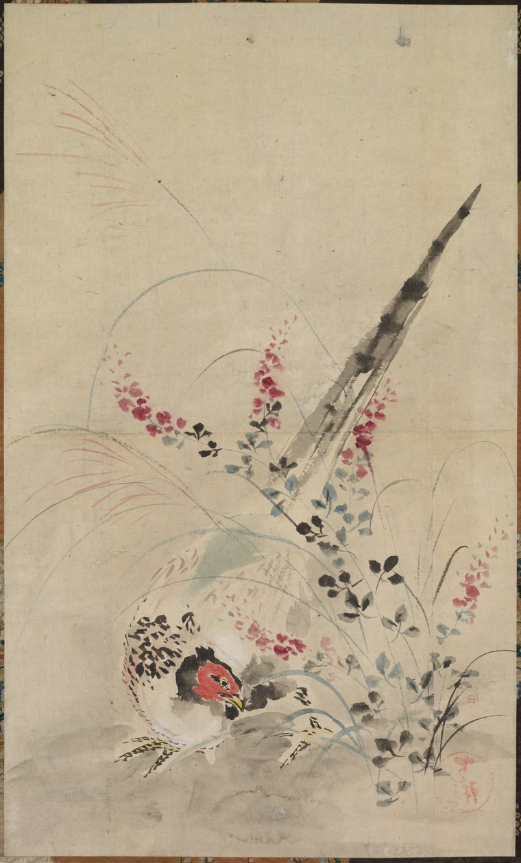 Faisão e gramíneas de attributed to Ogata Kōrin