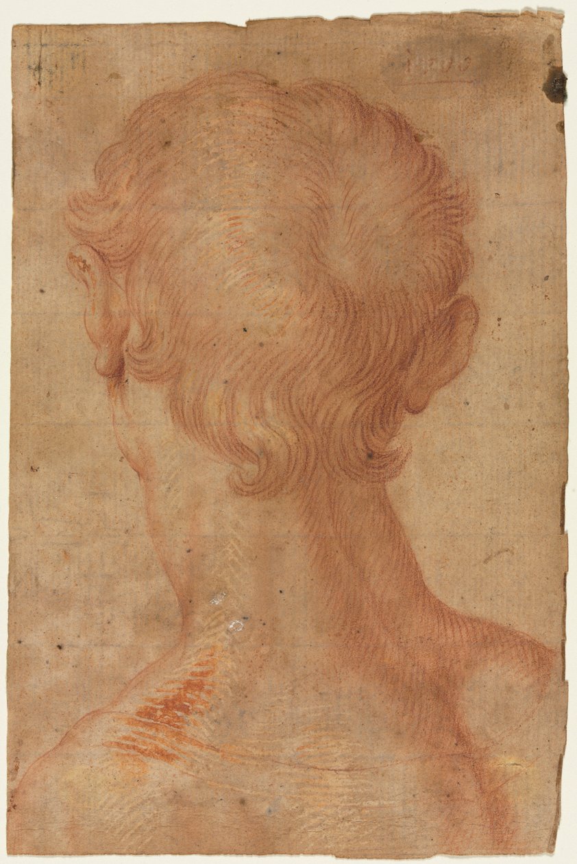 A cabeça do homem de trás de copy after Agnolo Bronzino