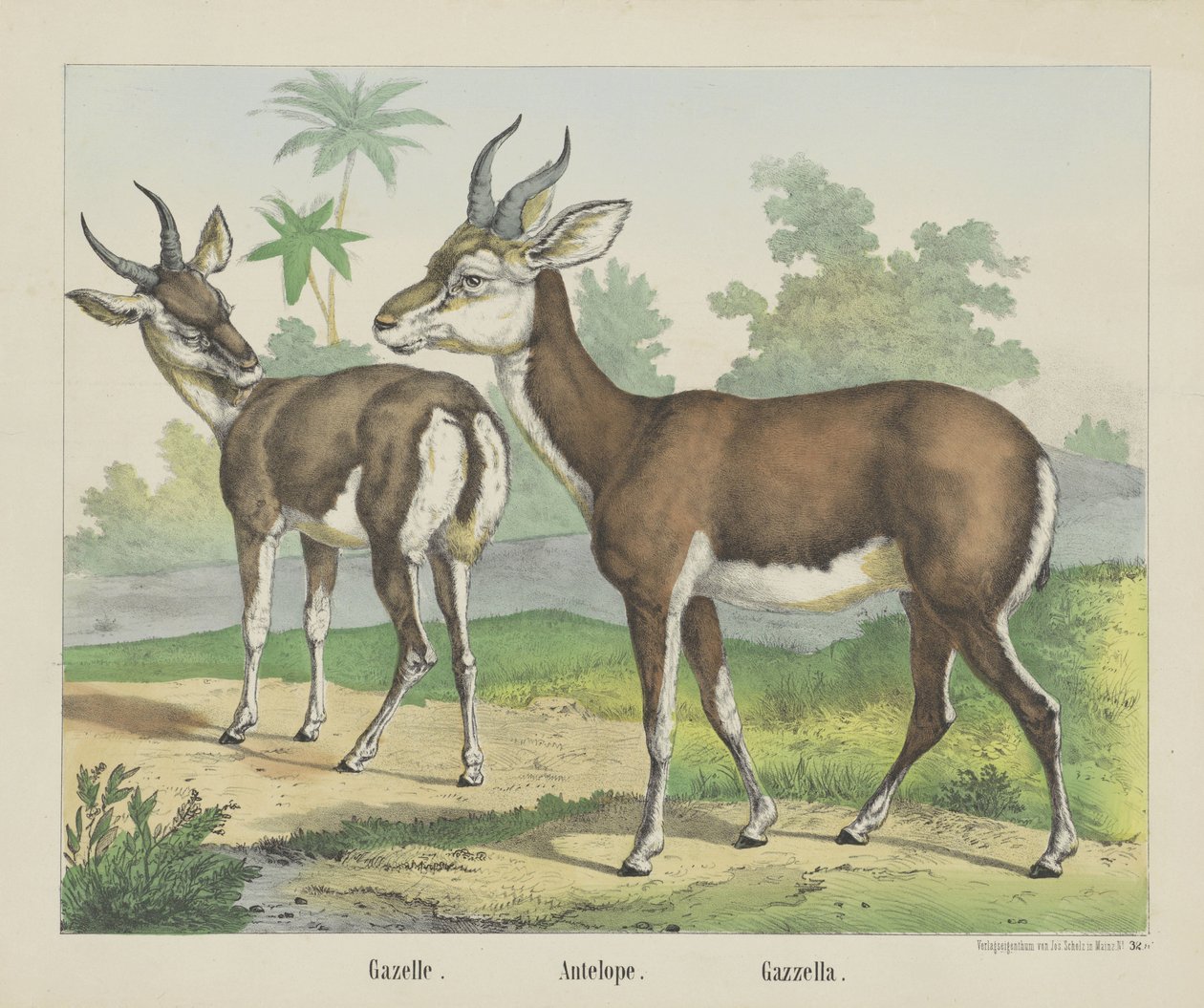 Gazela. / Antílope. / Gazella (título no objeto) de firma Joseph Scholz