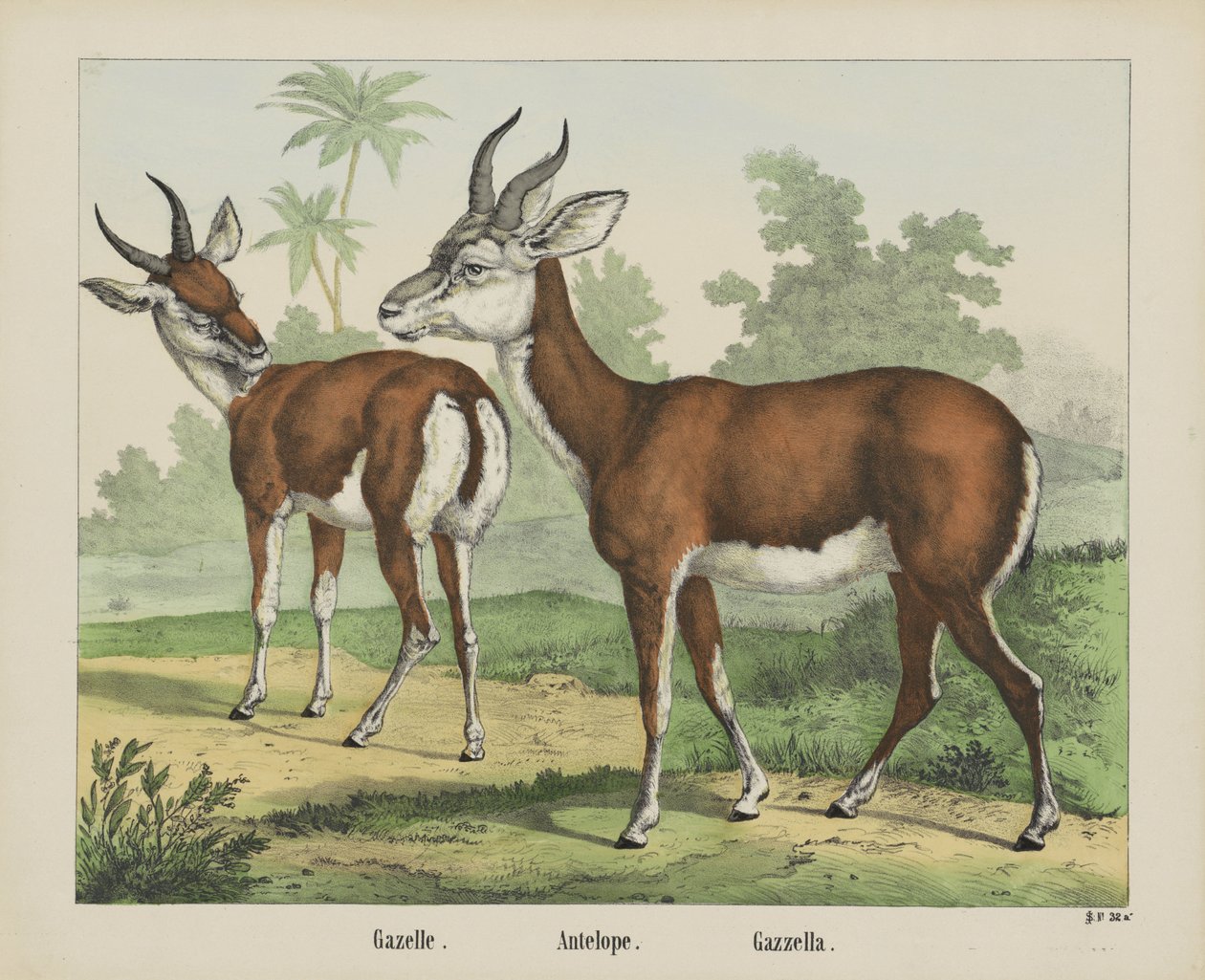 Gazela. / Antelope. / Gazella (título sobre o objecto) de firma Joseph Scholz