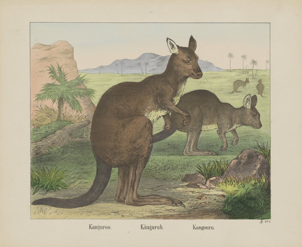 Kanguroo / Kangaroo / Kangouru (título sobre o objecto) de firma Joseph Scholz