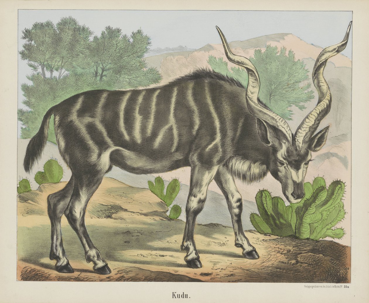 Kudu (título no objeto) de firma Joseph Scholz
