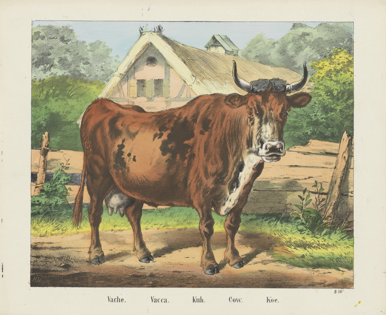 Cow / Vacca / Kuh / Cow / Koe (título sobre o objecto) de firma Joseph Scholz