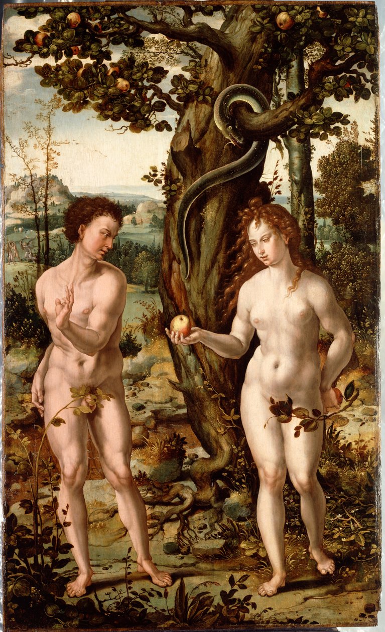 A queda do homem de follower of Pieter Coecke van Aelst
