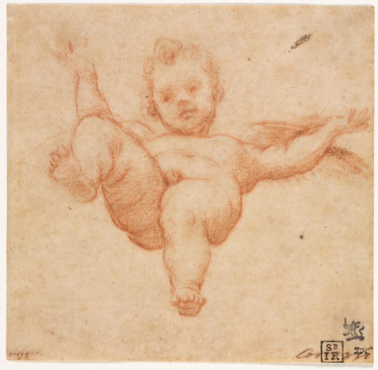 Cupido Voador de follower of Annibale Carracci