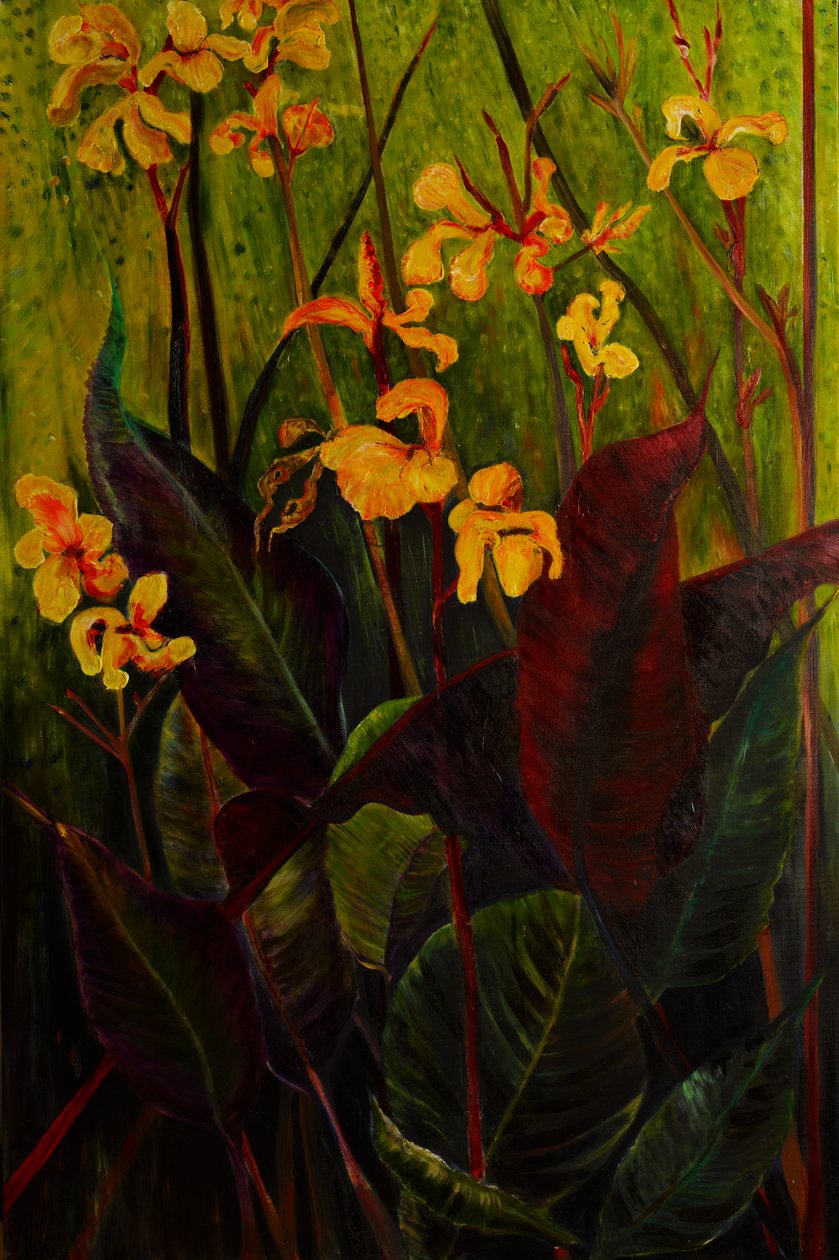 Lírio de Canna, 2017 (óleo sobre tela) de jocasta shakespeare