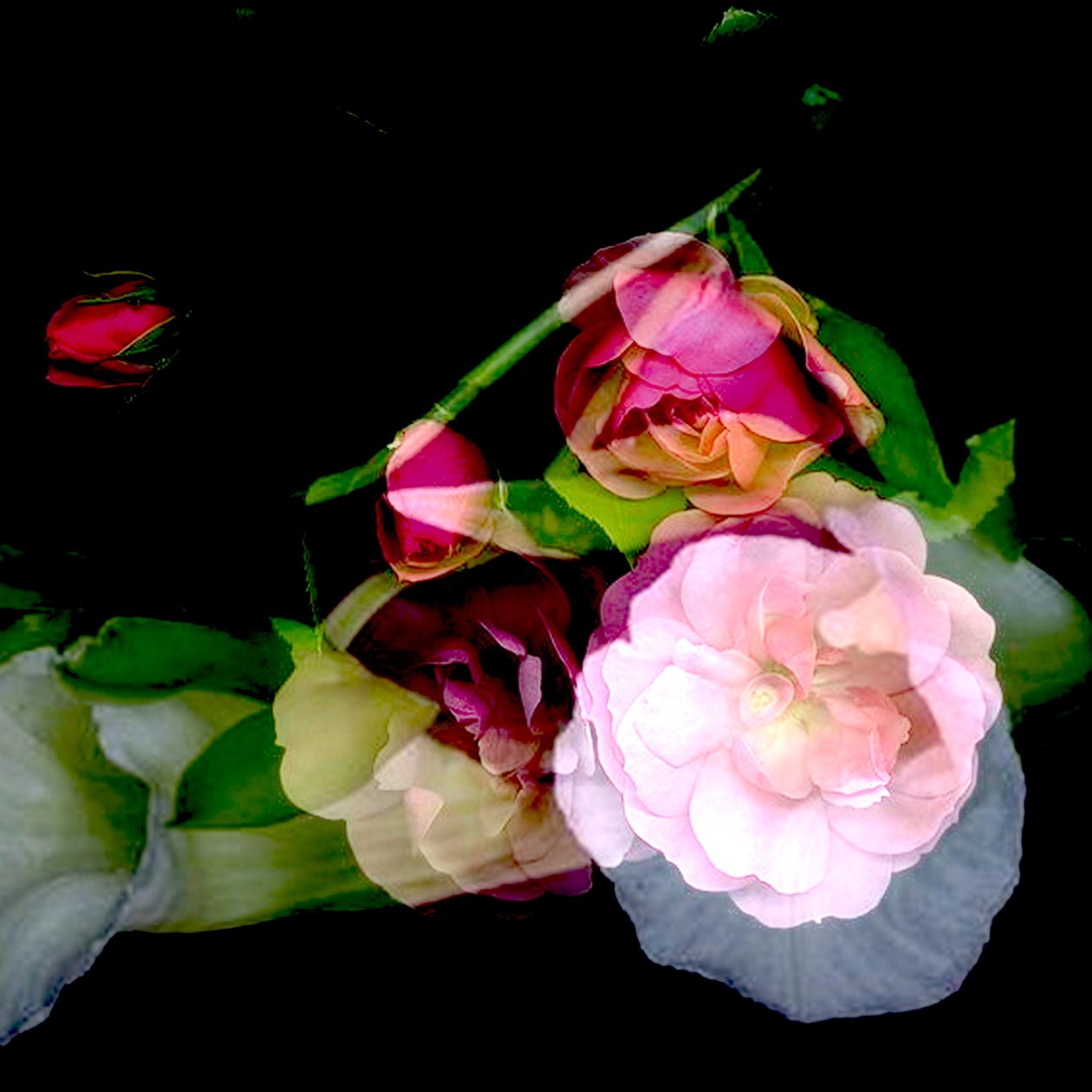 A FLOR DA MINHA MÃE, 2017 (técnica mista) de linda arthurs