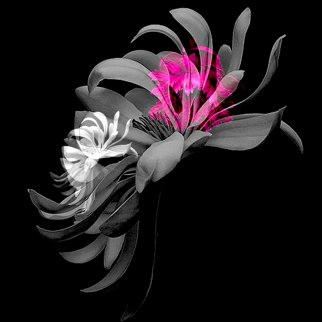 COLAGEM DE FLORES DE PRIMAVERA, 2018 (técnica mista) de linda arthurs