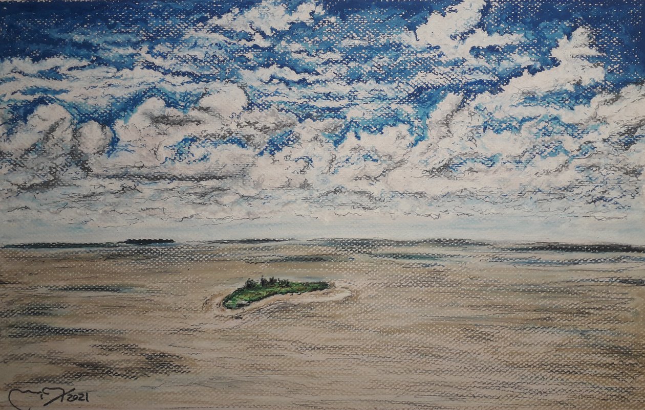 ORINOCO DELTA - BOCA GRANDE de miguelmendez_art.ve