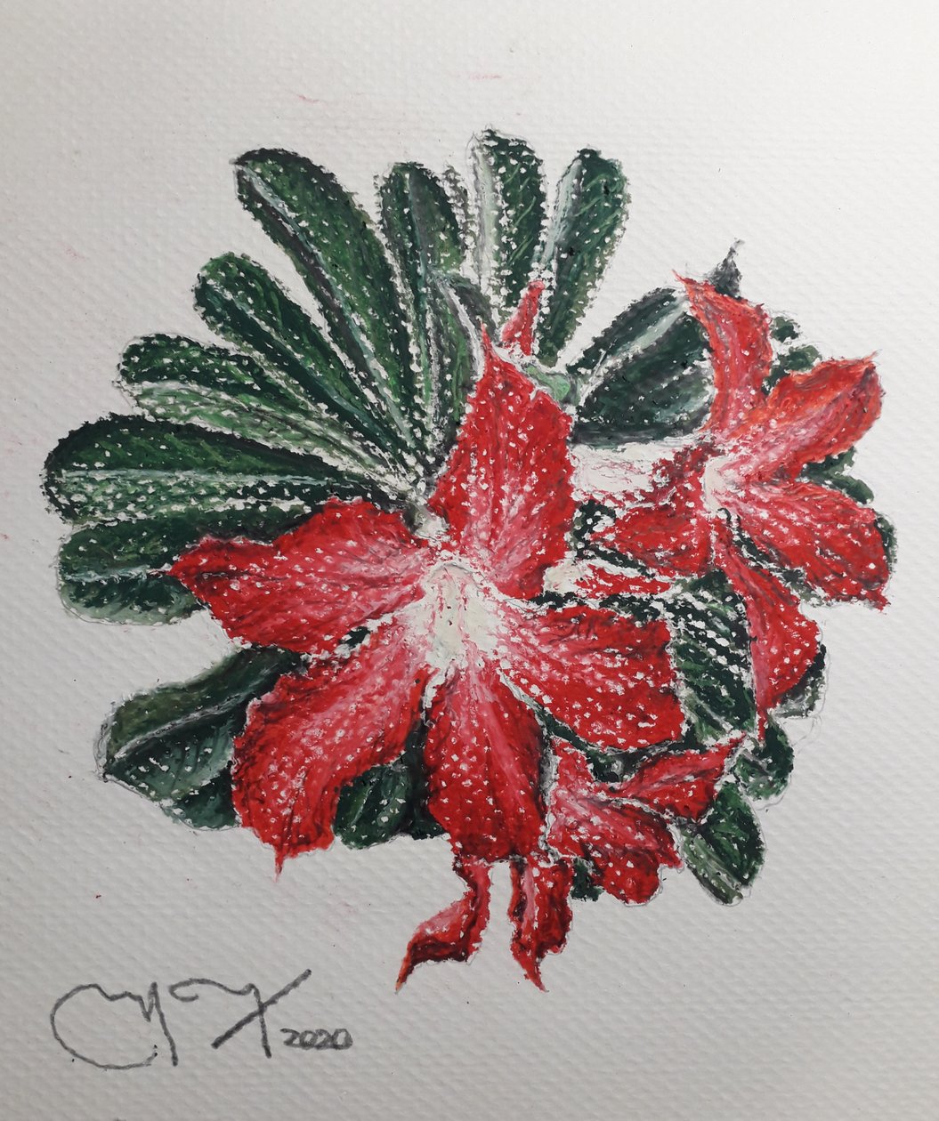 DESERT FLOWER de miguelmendez_art.ve