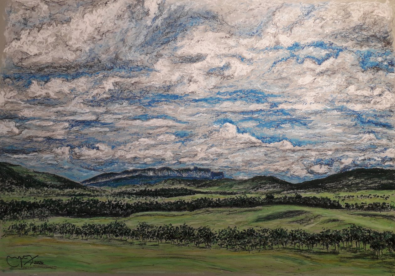A GRANDE VENEZUELA DA SAVANA de miguelmendez_art.ve