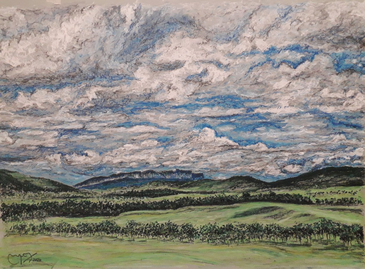 A GRANDE VENEZUELA DA SAVANA de miguelmendez_art.ve