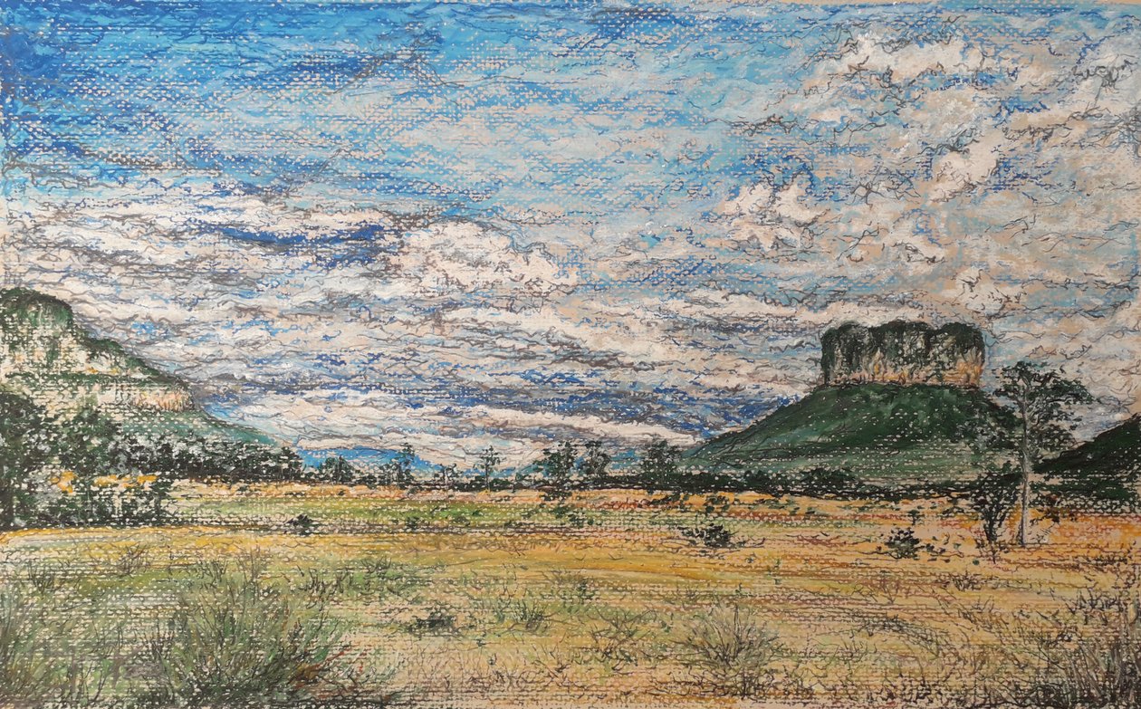 A GRANDE VENEZUELA DA SAVANA de miguelmendez_art.ve