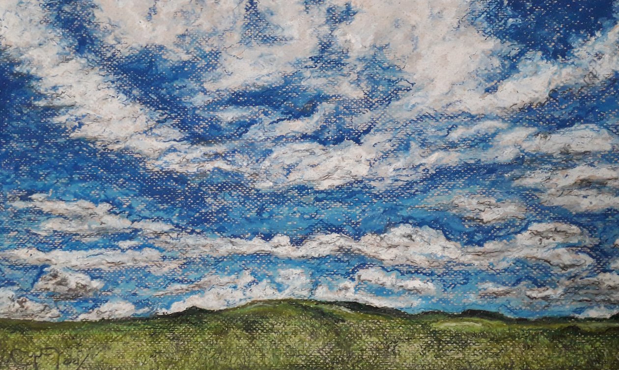 A GRANDE VENEZUELA DA SAVANA de miguelmendez_art.ve