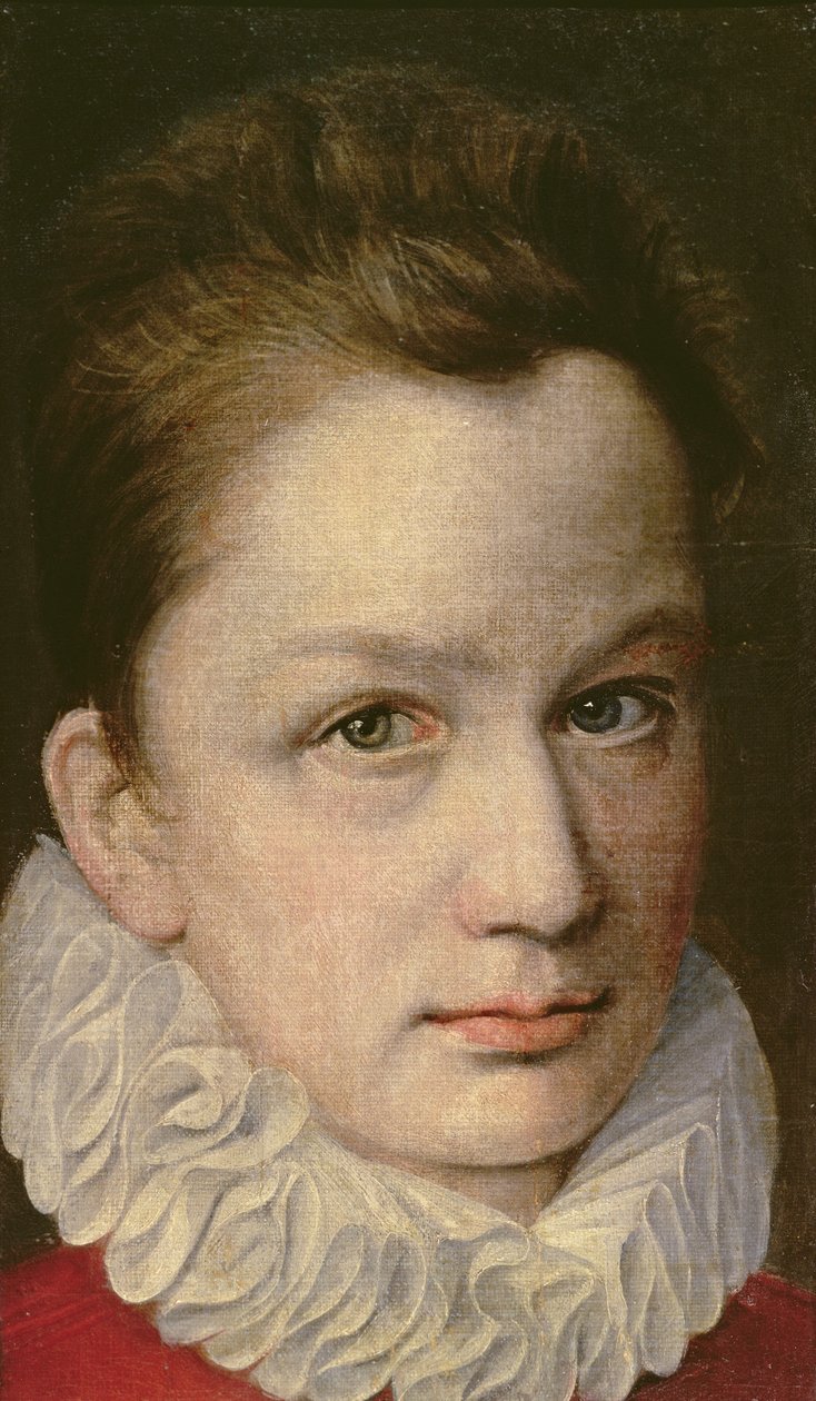 Retrato de um jovem, c.1570-75 de or Dumoustier, Pierre Dumonstier