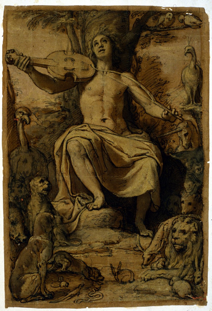 Orfeu encantando os animais com a música de um violino. Desenho de Federico Zuccari (1542 - 1609). de or Zuccaro Federico Zuccari
