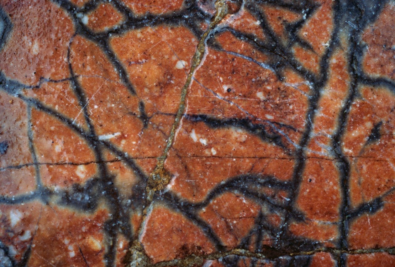 Piso de mármore, detalhe, vila de Adriano, século II d.C., Tivoli, Lazio, Itália (foto) de Unbekannt Unbekannt