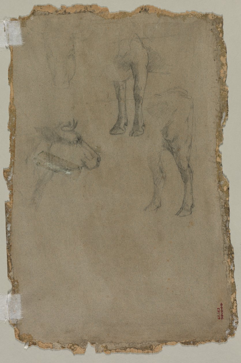 Estudos de um touro (verso) de possibly by Johan Barthold Jongkind