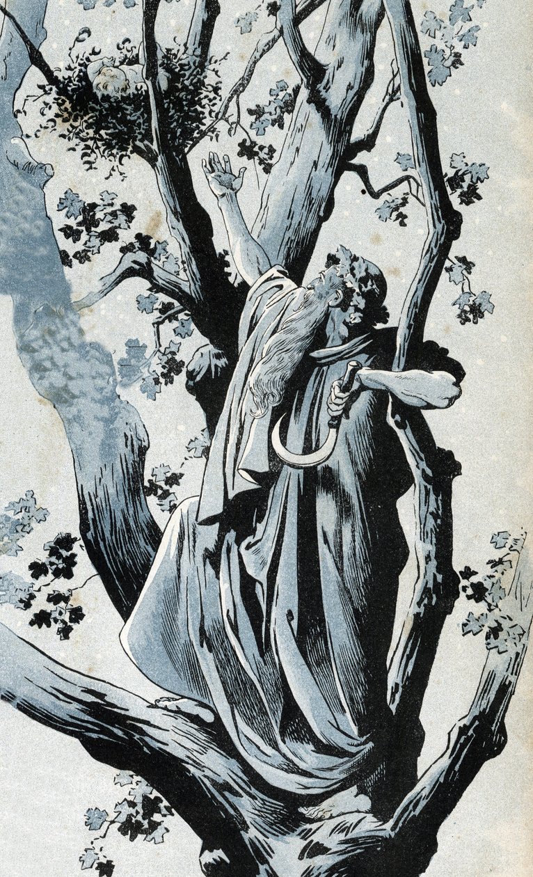 Um druida galego, subindo num carvalho para apanhar azevinho com a sua serpente, descobre lá uma menina. em "France, his story told by G. Montorgueil, imaged by Job" 1896. Colecção privada. de pseudonym for Onfray de Breville Jacques Job