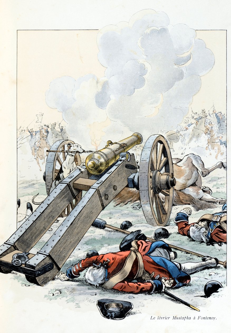 Ilustração do livro "A la gloire des betes" texto de A Fabre, desenhos de Jacques Marie Gaston Onfray de Breville dit JOB (1858-1931), editora Maison Alfred Mame et fils: Guerra da Sucessão Austríaca: a levedura Mustapha em Fontenoy de pseudonym for Onfray de Breville Jacques Job